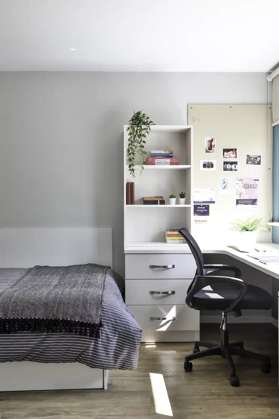 Classic Studio - Amenities