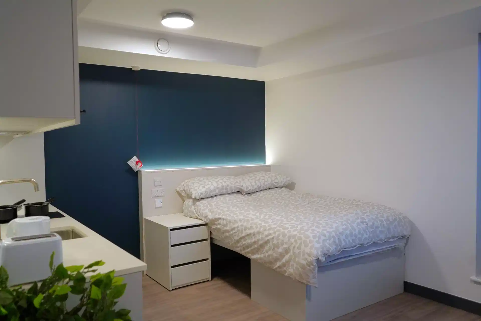 VIP (Accessible) Studio - Bedroom