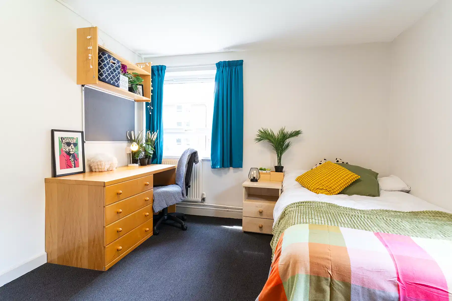 Large Standard Room - Bedroom