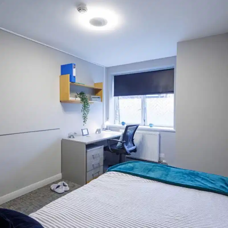 Standard Room - Bedroom