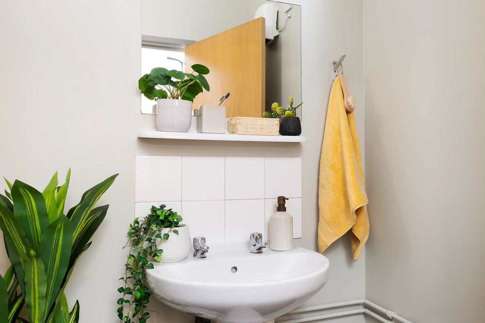 Waverley House 공식 숙소 이미지 5 · Shared bathroom