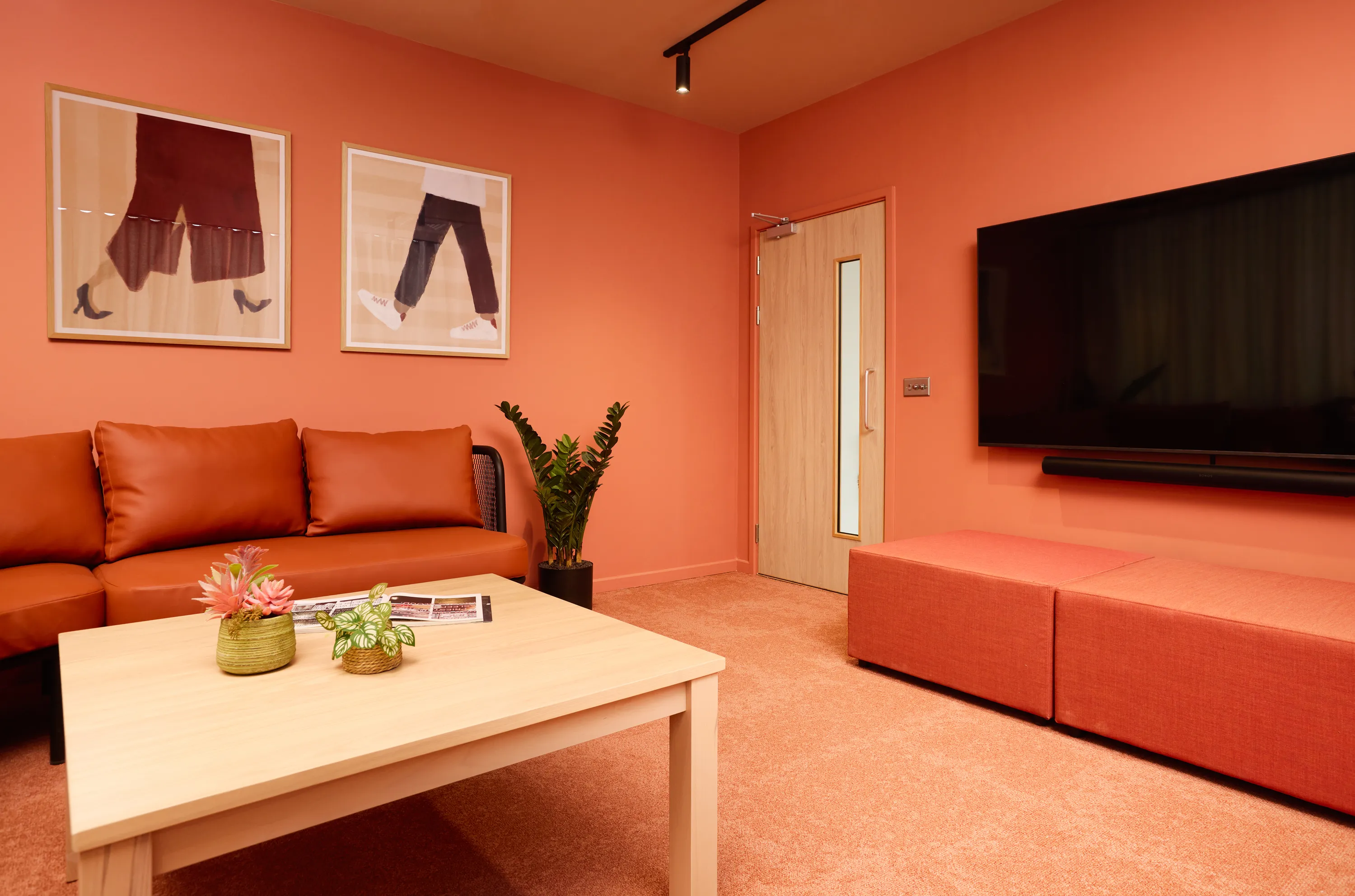 Hawthorne House 공식 숙소 이미지 20 · Student accommodation cinema