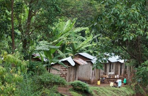 Photo of a house with. white van parked in front of it