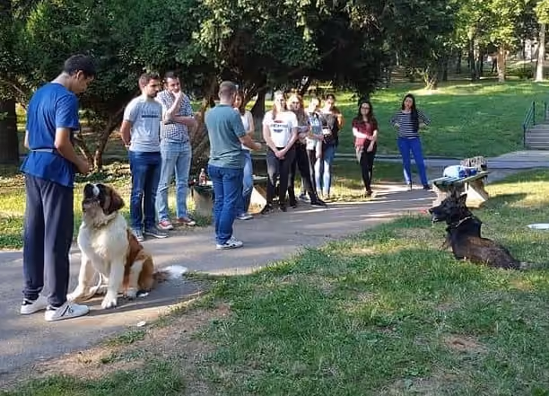 Edukacija vlasnika u školi za pse UrbanDOG Beograd
