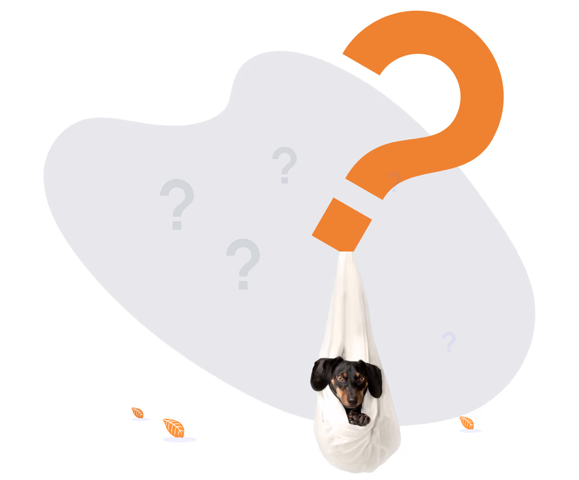Ilustracija problema u ponašanju psa