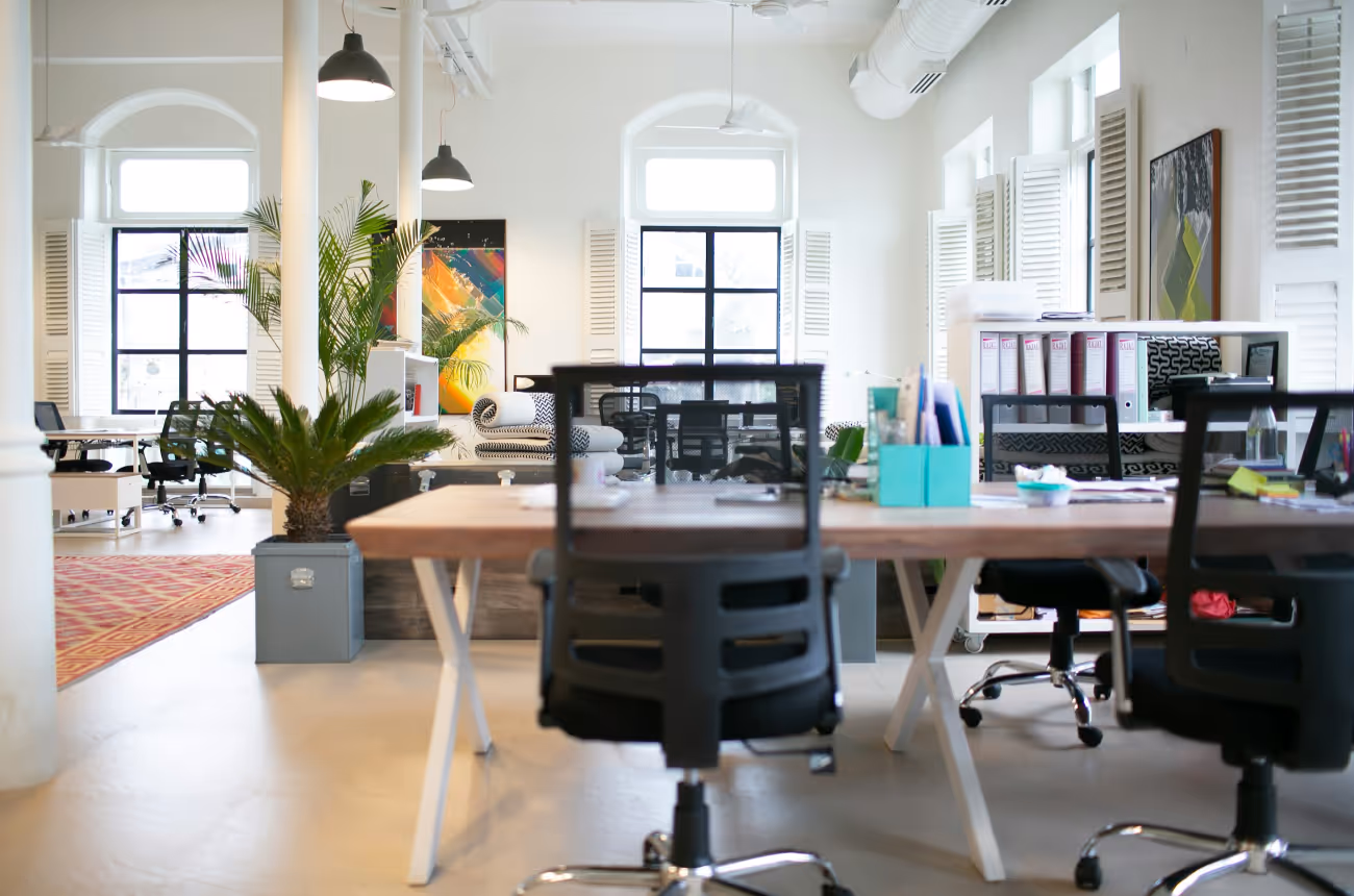 Modern open-plan office with ergonomic chairs, bright natural light, indoor plants, and art—designed to encourage collaboration and creativity.