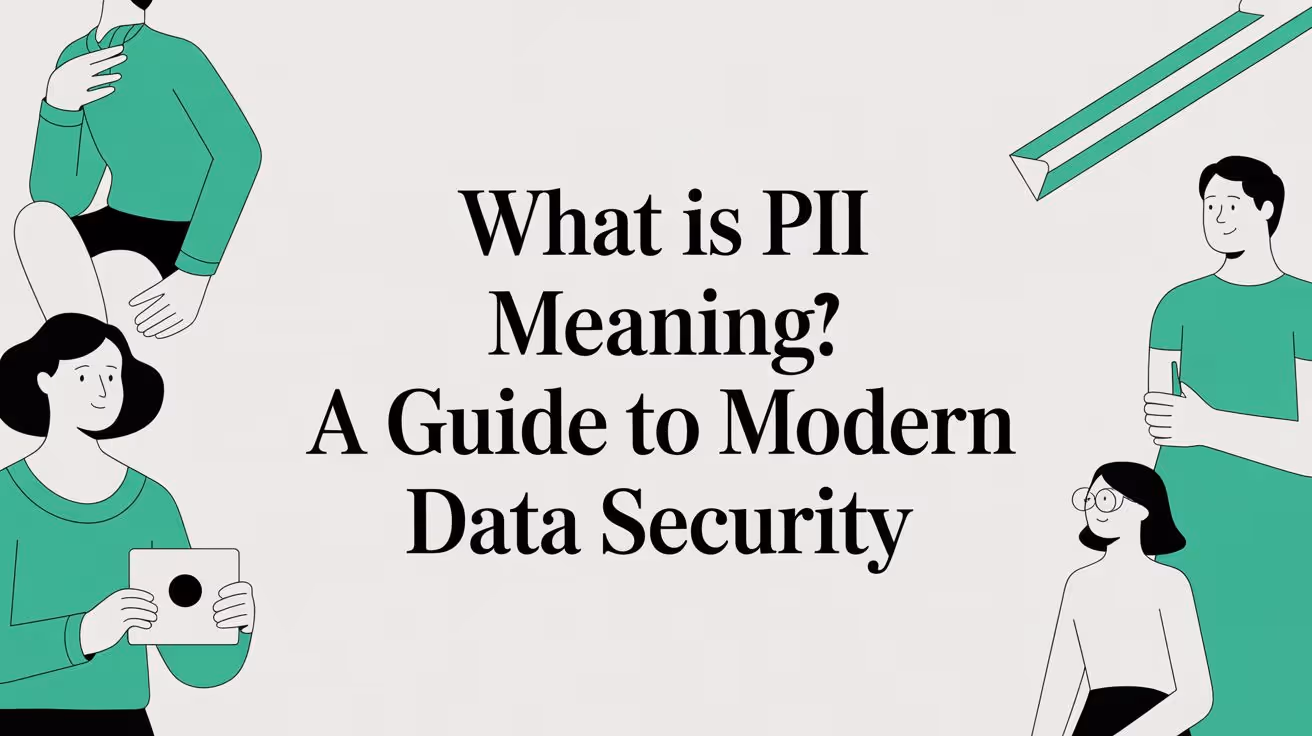 What Is PII Meaning a Guide to Modern Data Security