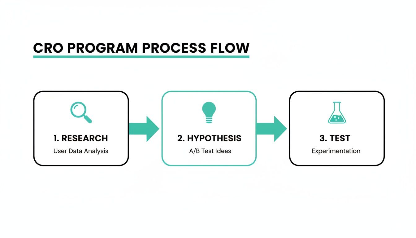 CRO program process flow diagram detailing research, hypothesis generation, and testing phases with icons.