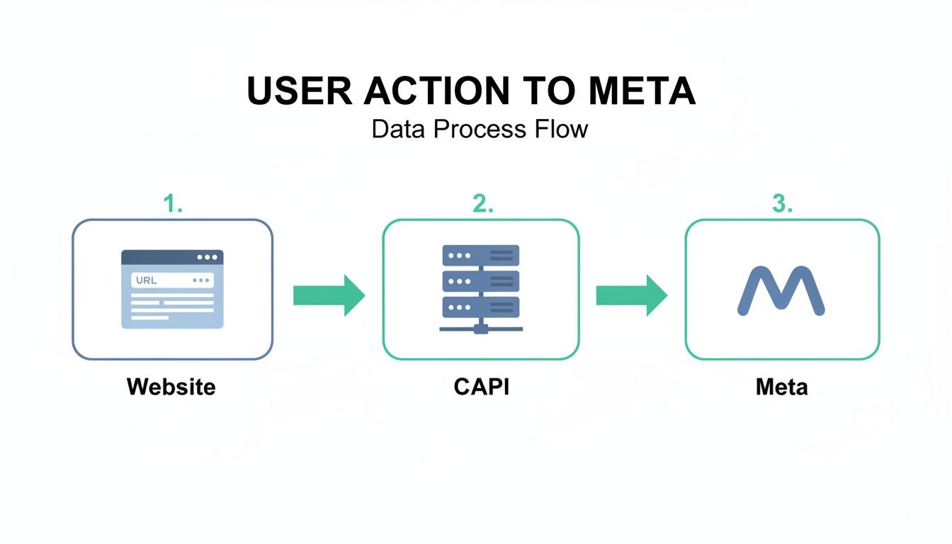 A diagram illustrating the data process flow from website user actions through CAPI to Meta.