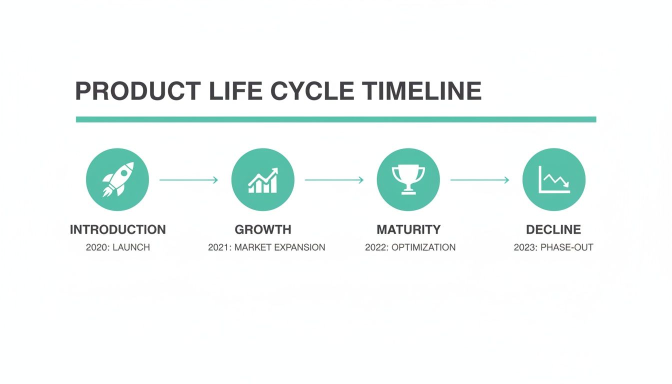 A product life cycle timeline displaying four stages: introduction, growth, maturity, and decline, with associated years and descriptions.