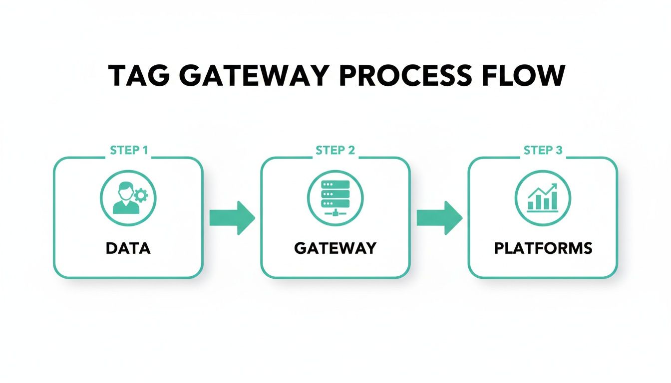 Tag Gateway Process Flow diagram showing data input, gateway processing, and output to platforms.