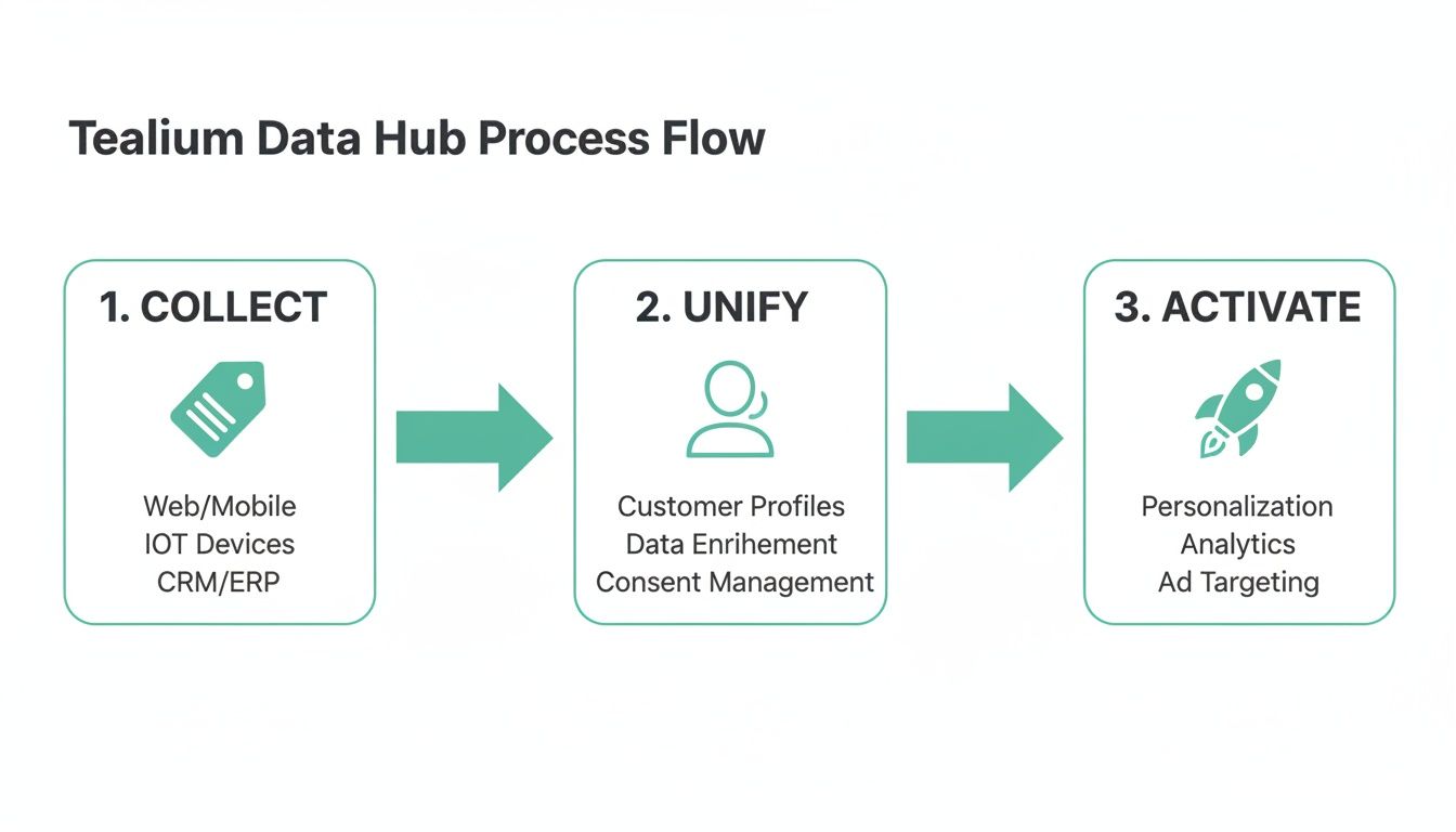 Tealium Data Hub process flow diagram showing data collection, unification, and activation steps.