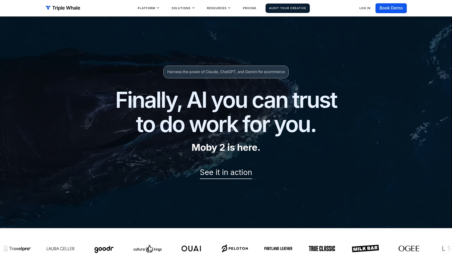 https://triplewhale.com