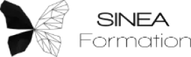 Logo sinea formation en noir et blanc