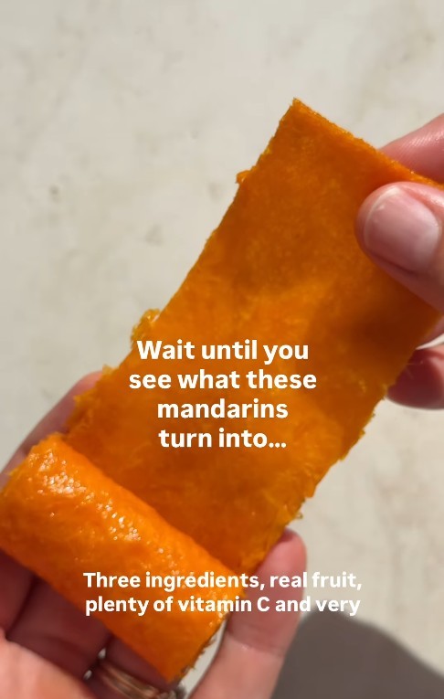 Delite Mandarin Fruit Roll Ups