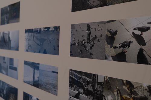 2024年廈門集美·阿爾勒國際攝影節「發現獎」現場。攝影:羅玉梅