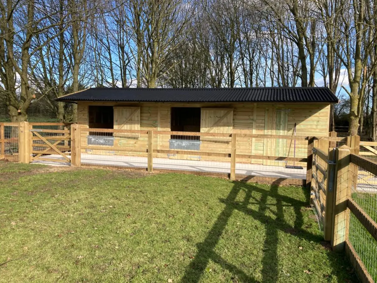 Preventing Mould and Damp in Horse Stables