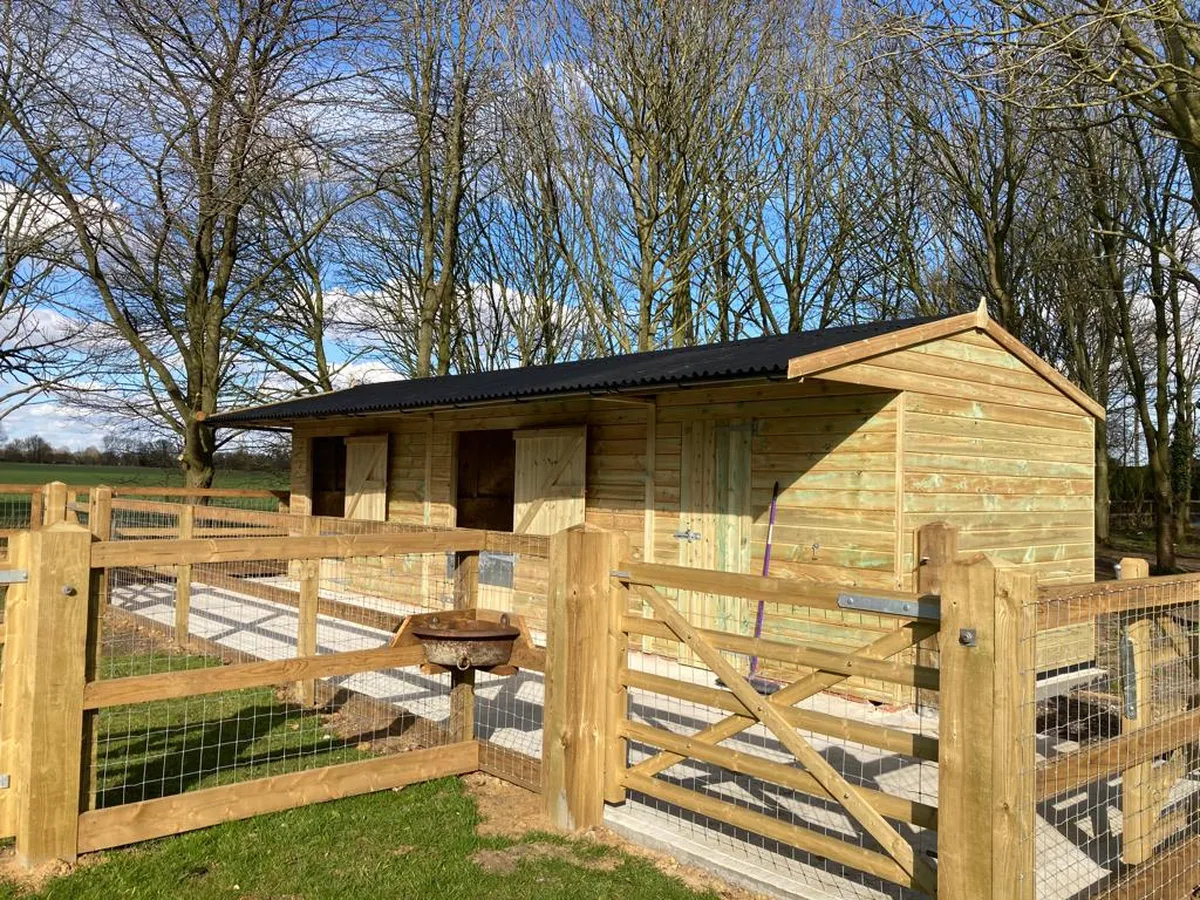 Budget Stables That Last: Where to Spend and Where to Save