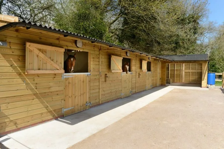 Enhance Your Stable With Optional Extras