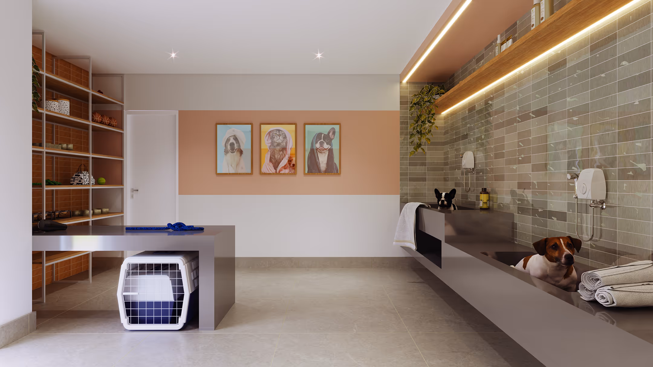 Perspectiva ilustrada do pet care