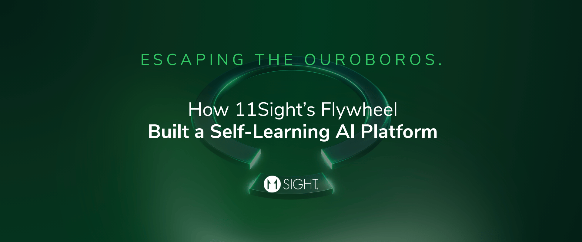 Escaping the Ouroboros: How 11Sight’s Flywheel Architecture Built a Self-Learning AI Platform That Never Collapses