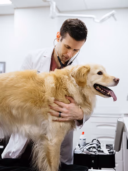 Collaboration is the Heart of our Practice