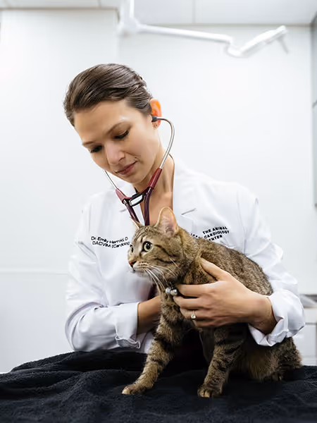 We Make the Care Process Seamless