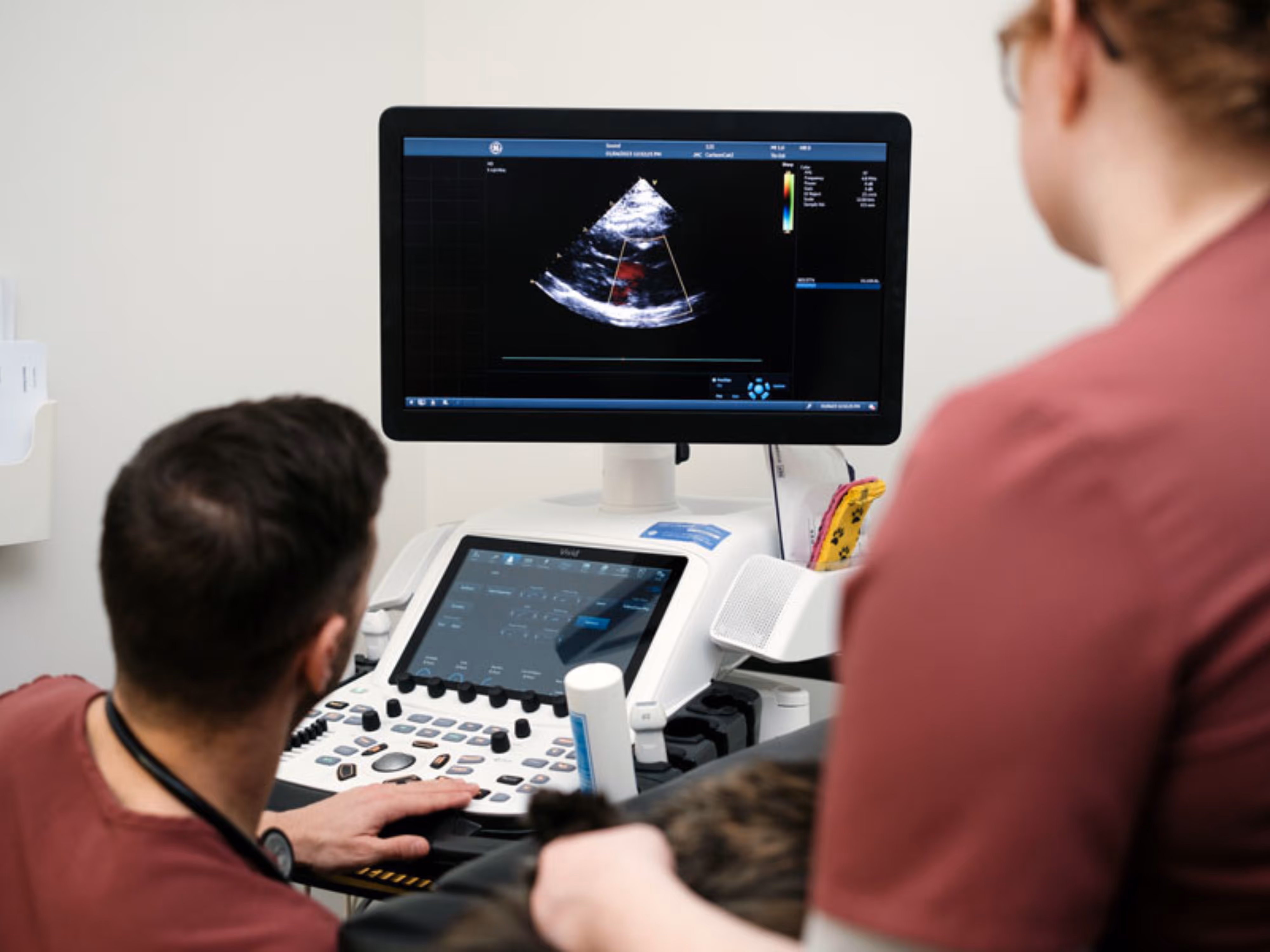 Cardiology Diagnosis & Care