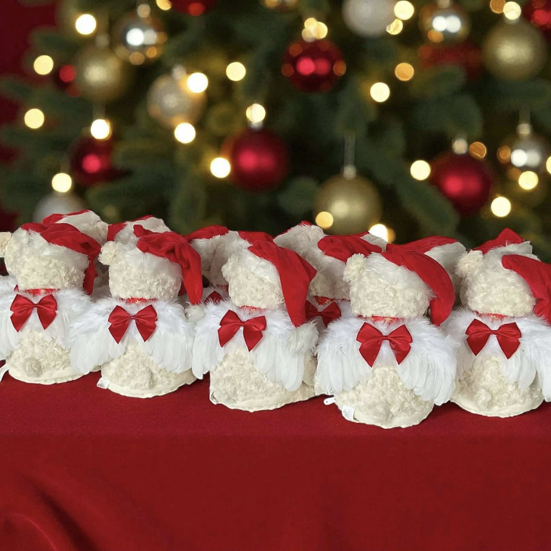 Jet Pro - Tony Rouse 