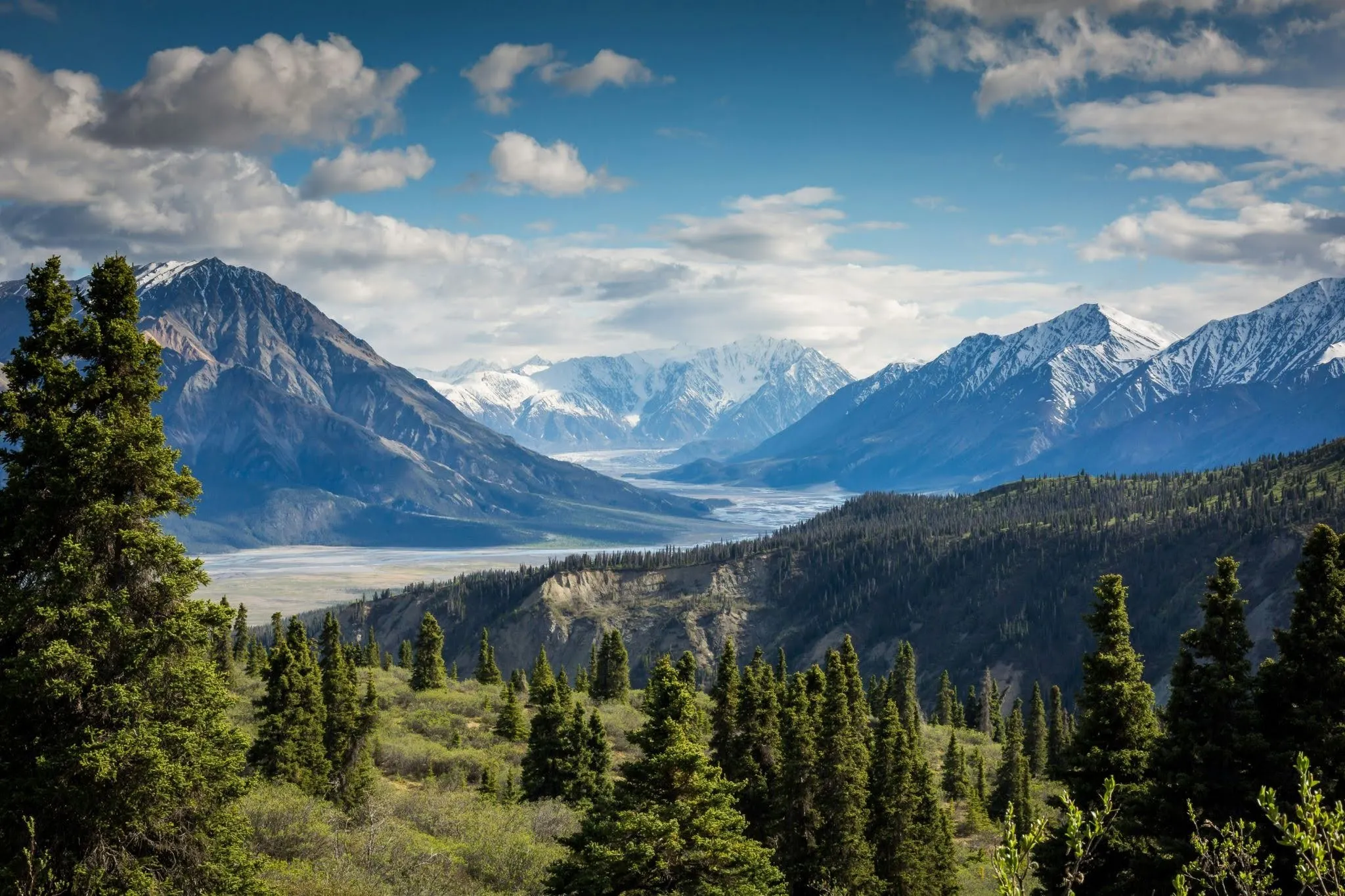 Evergreen forest with a valley and snow-capped mountains under a partly cloudy blue sky.