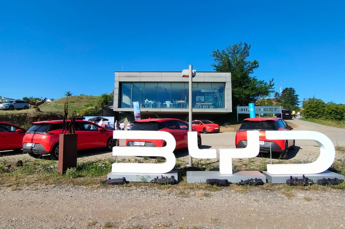 BYD Dolphin G Präsentation im Weingut Hillinger