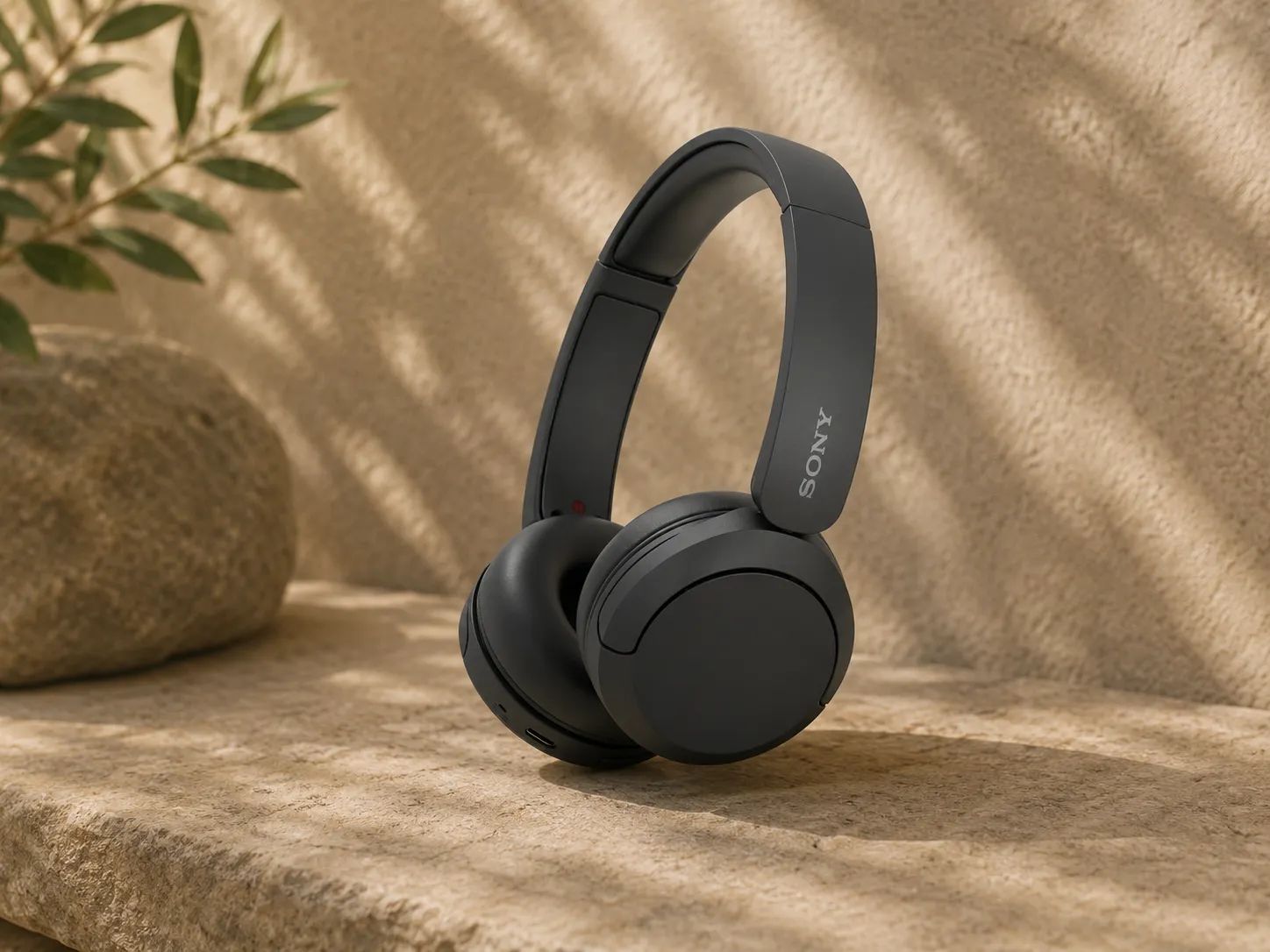 Casque audio Sony en cadeau client