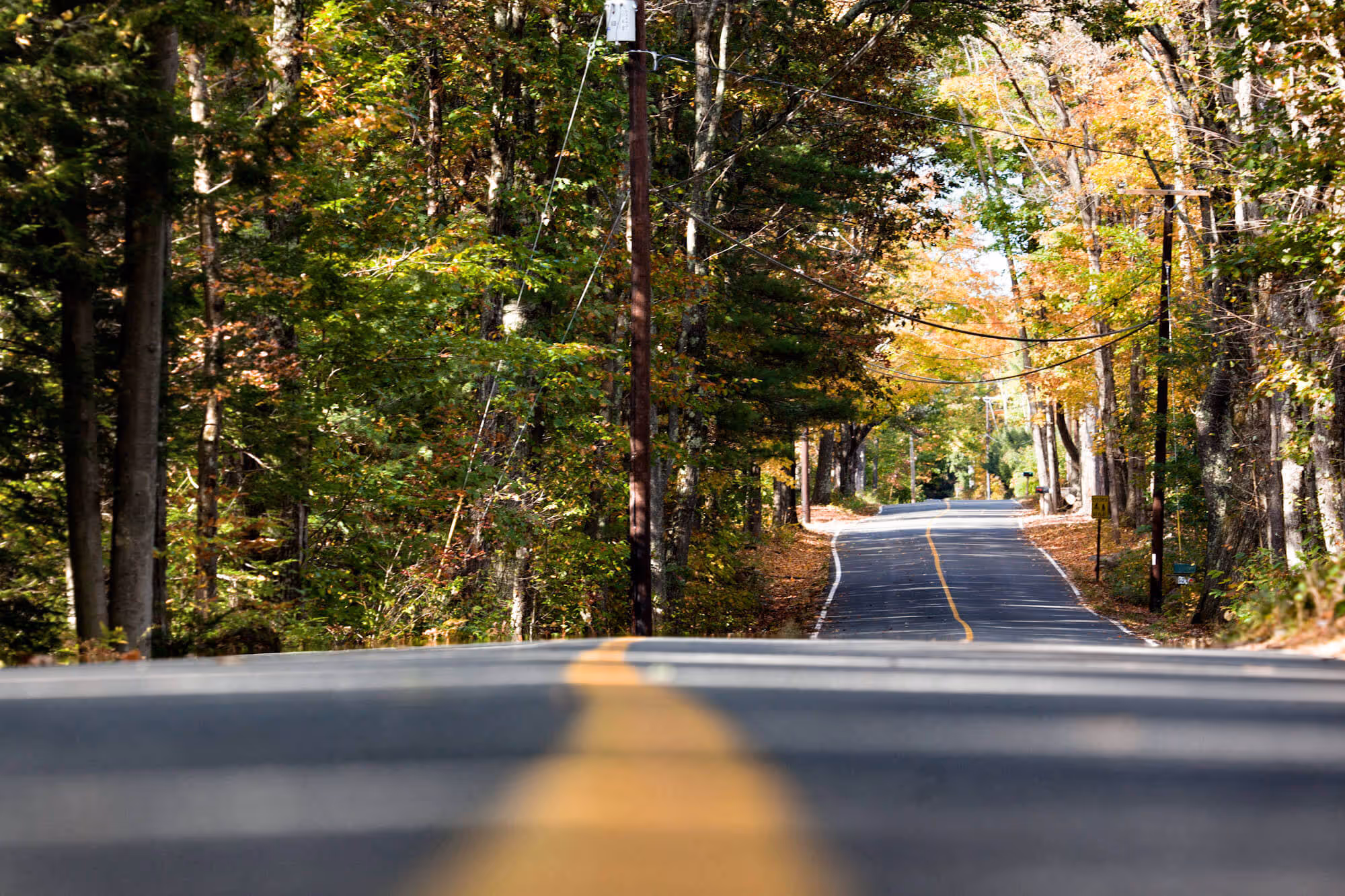 Roadway in autumn, Massachusetts