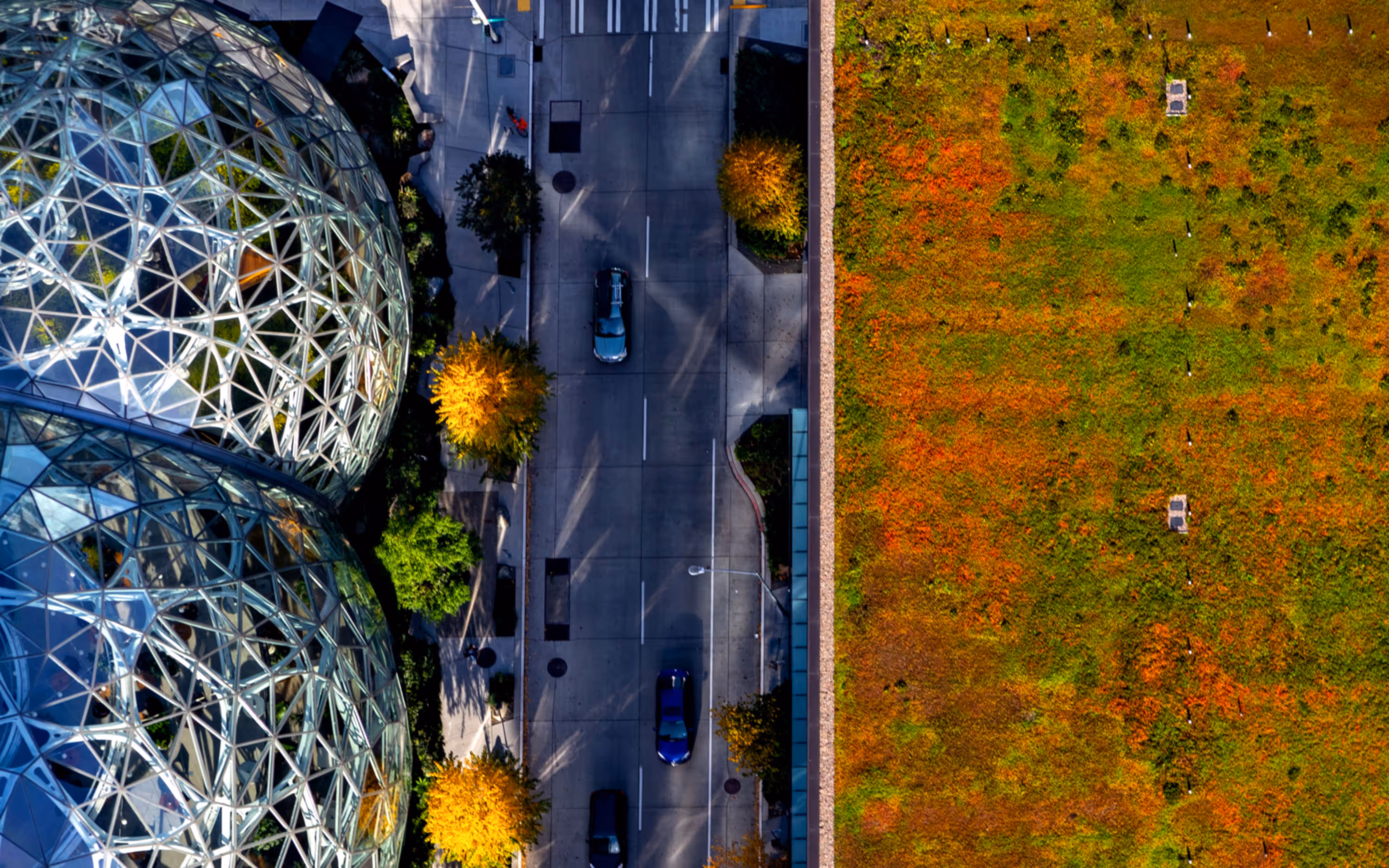 Aerial photo of Amazon Spheres, Seattle Washington