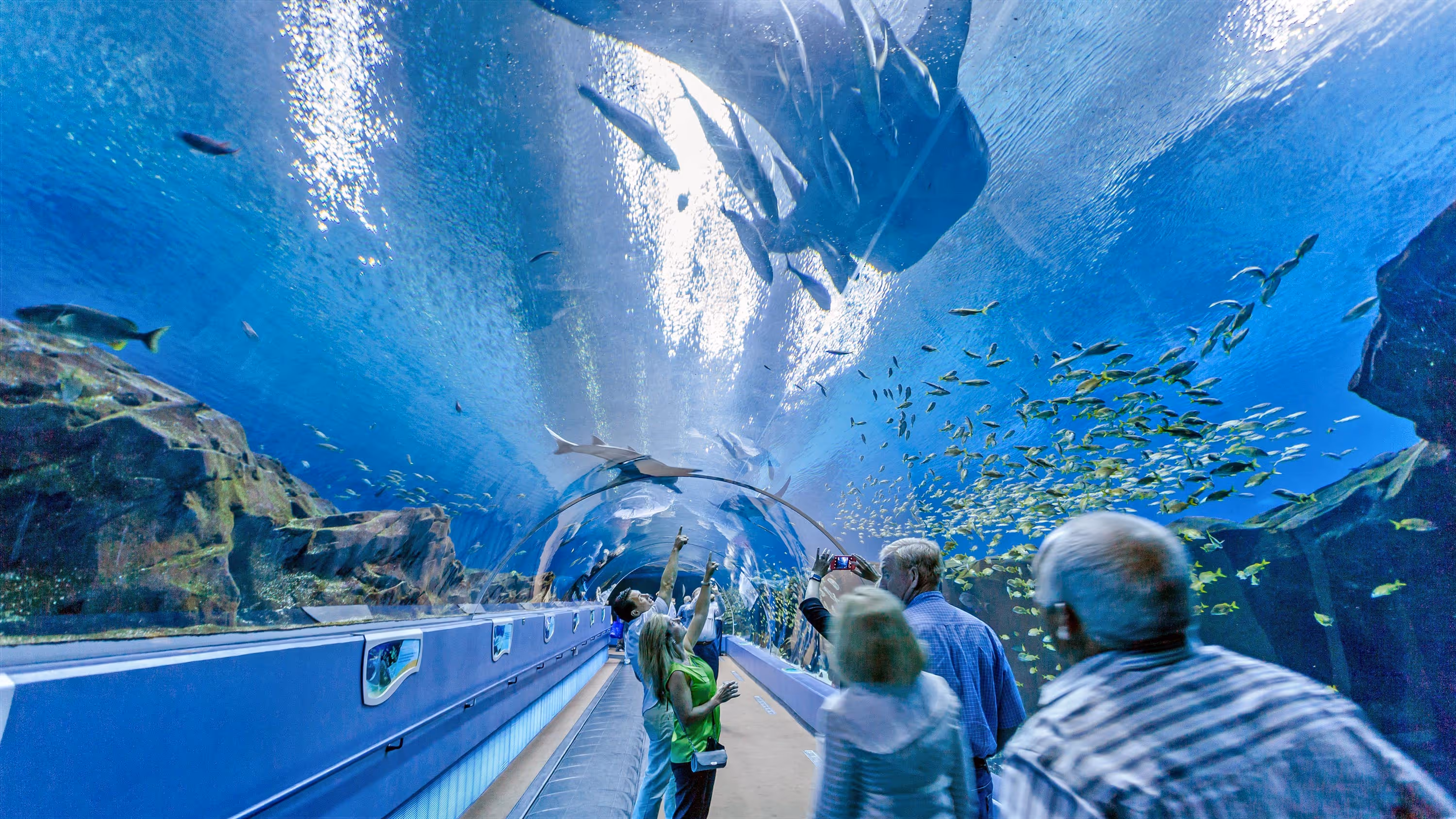Atlanta Aquarium, Atlanta, Georgia