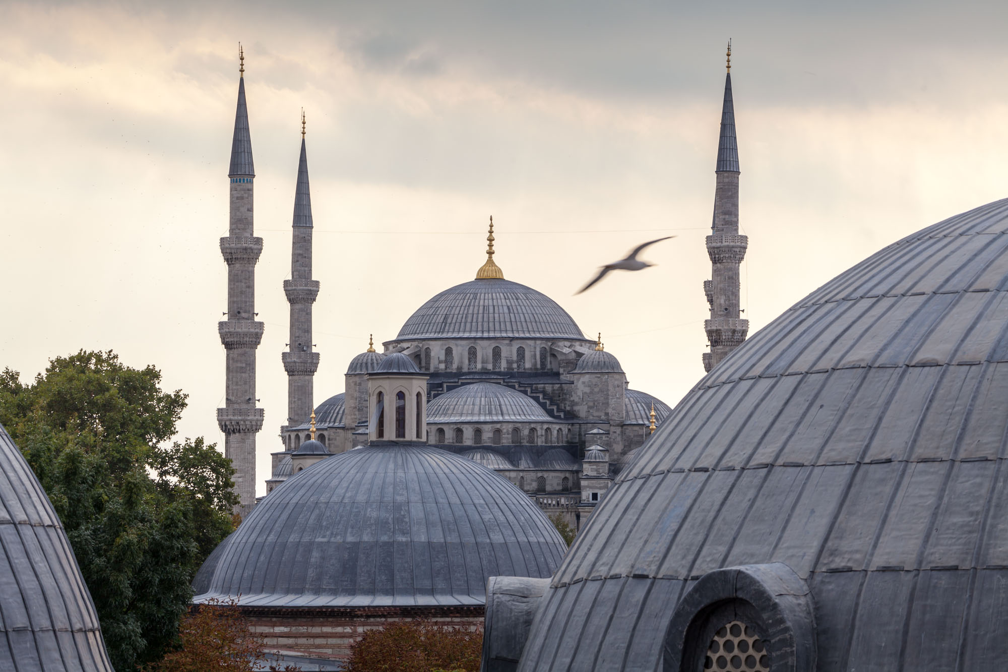 Blue Mosque, Istanbul, Turkey