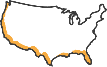 icon of the united states of america