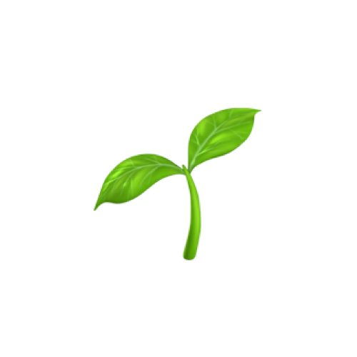 Health Icon