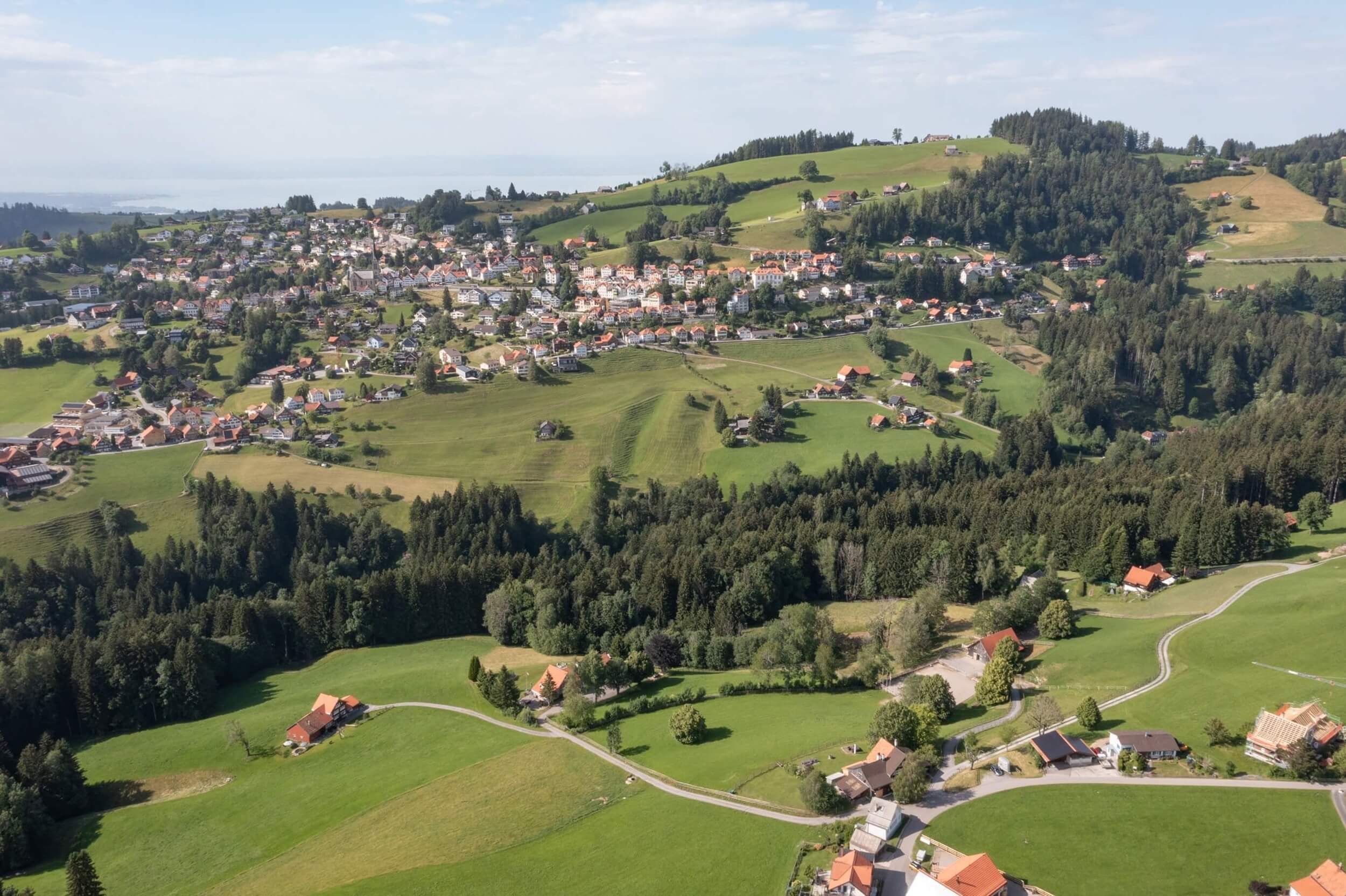 Einfamilienhaus_Wald