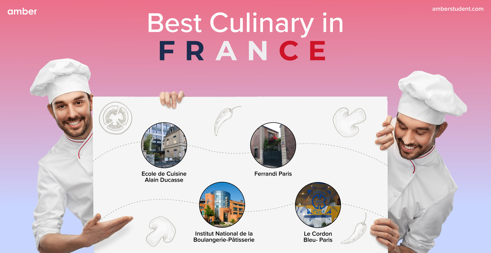 Best Culinary Schools in France Amber