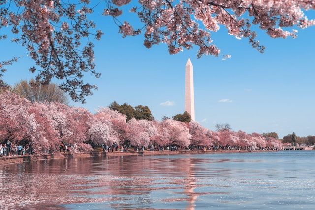 Dangerous Areas in Washington DC | 2025 Crime Stats & Safety Guide