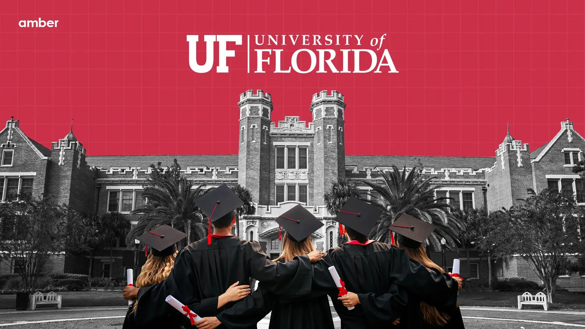 Everything You Need to Know About University of Florida