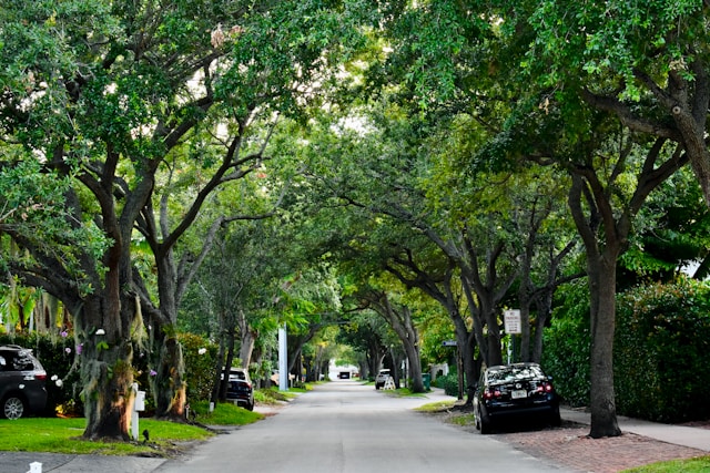 Best Neighborhoods In Orlando