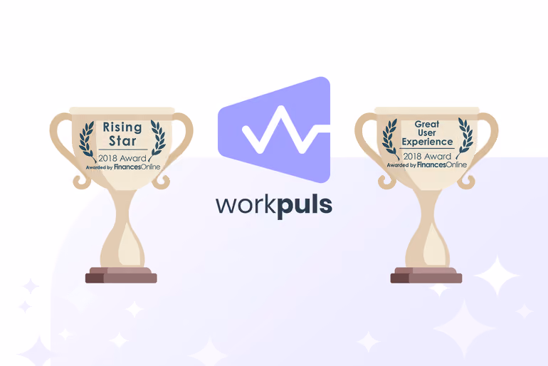 Insightful Wins a FinancesOnline 2016 Rising Star Award