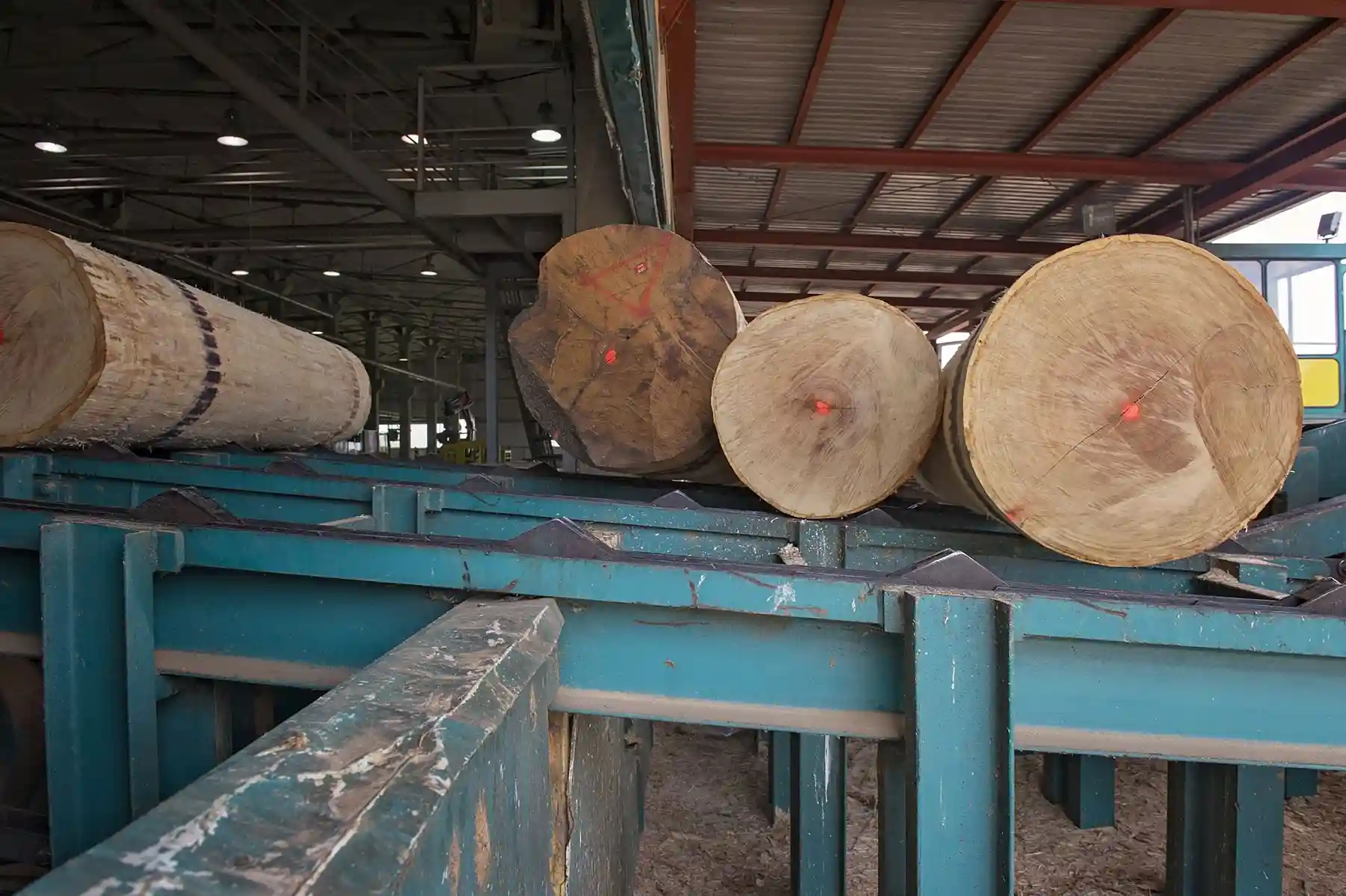 logs in the sawmill