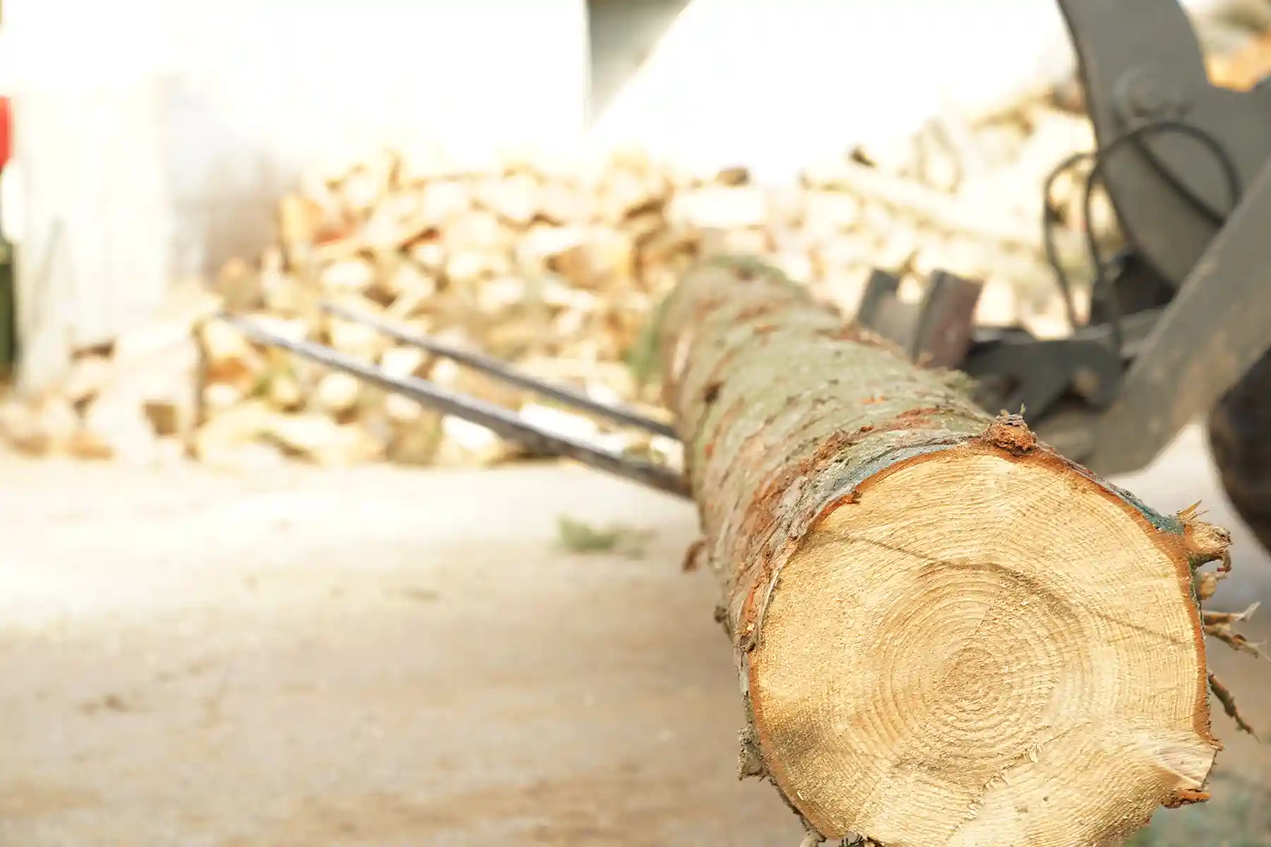 oak log on the forklift