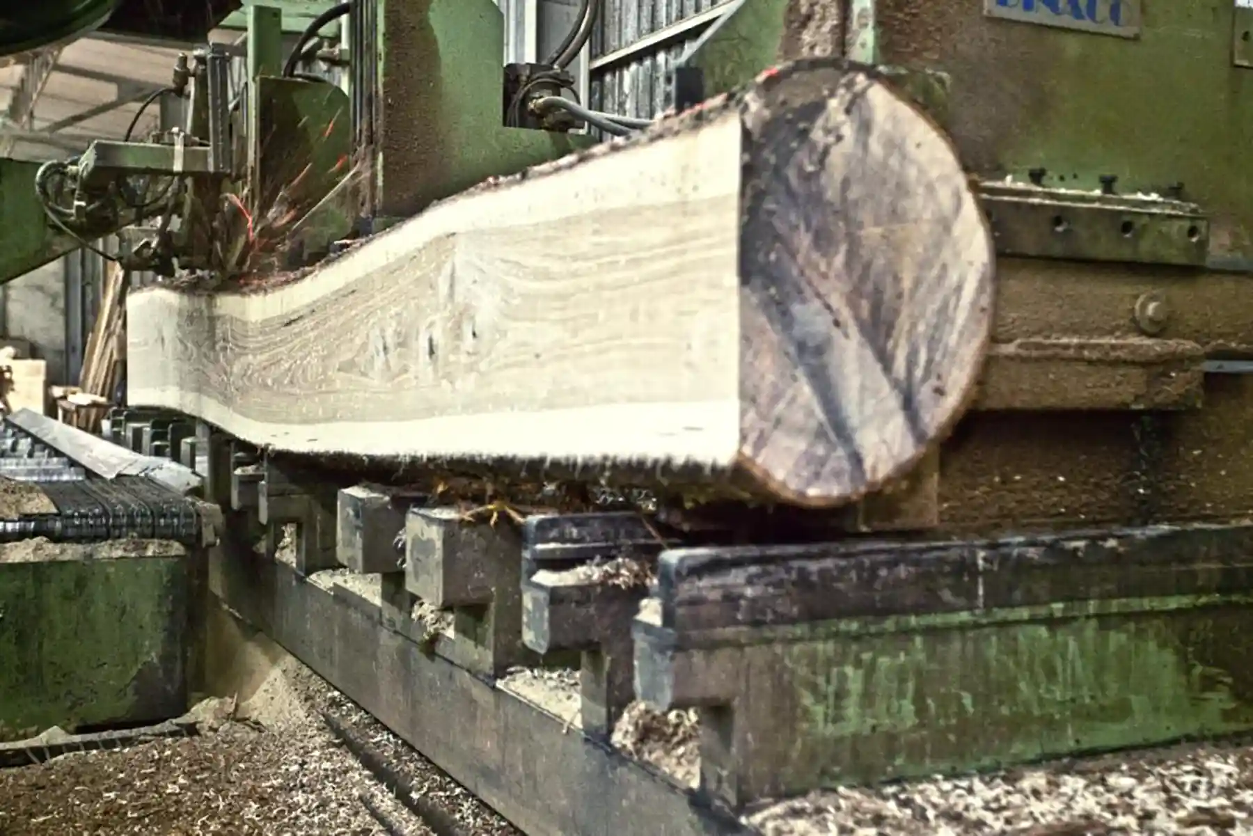 sawing an oak log on the saw