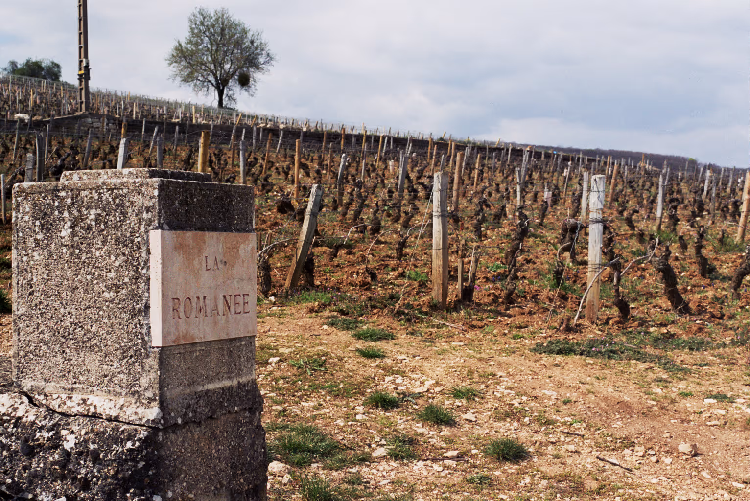 Liger-Belair (Comte)