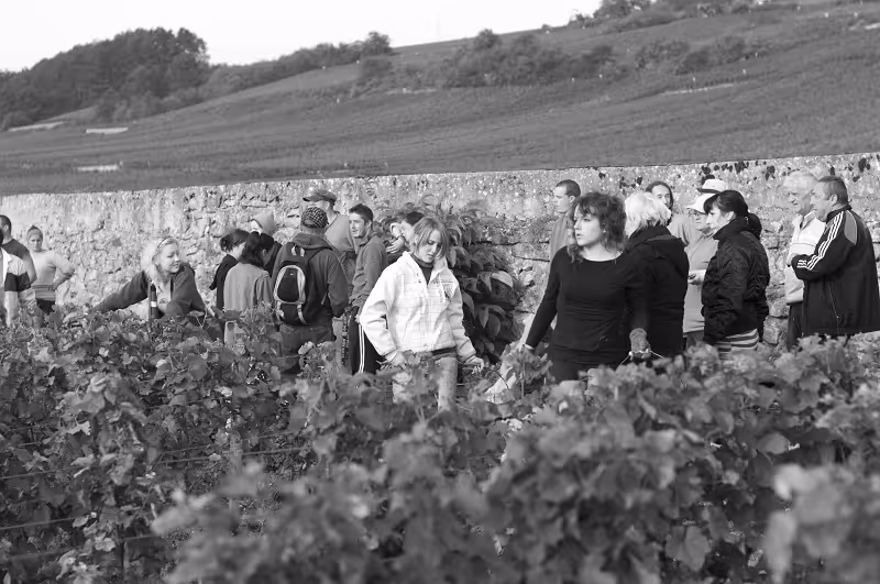 De Montille