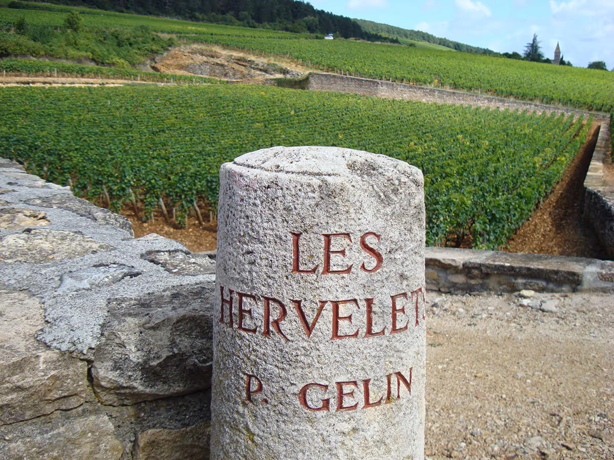Pierre Gelin